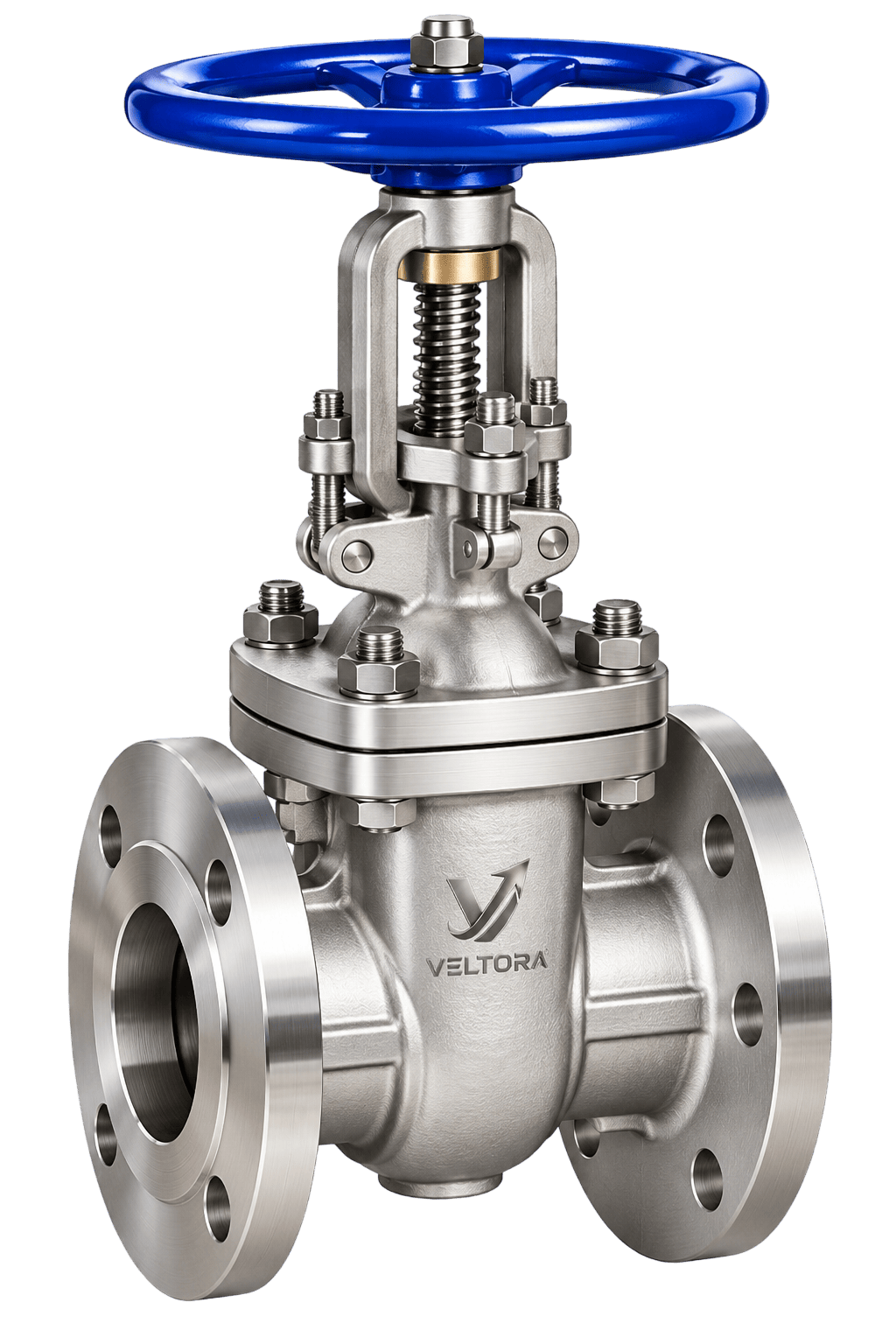 Flanged stainless steel gate valve